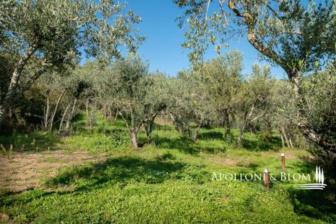 Villa i Cortona, Arezzo, Cortona - € 2.400.000 | Ref: COR2504-612134 - foto 41