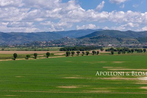 Villa a Cortona, Arezzo, Cortona - € 870.000 | Ref: COR2948-612258 - foto 44
