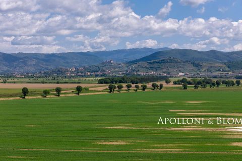 Farm hus i Cortona, Arezzo, Cortona - € 489.000 | Ref: COR2953-612433 - foto 34