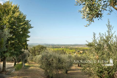 Villa i Cortona, Arezzo, Cortona - € 478.000 | Ref: COR3020-612502 - foto 36