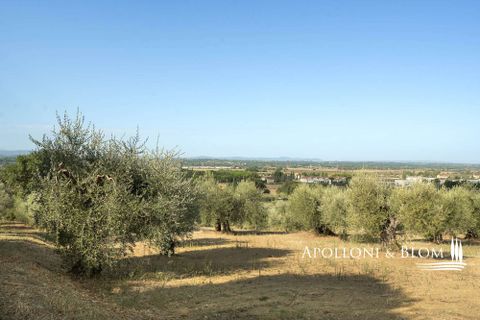 Villa i Cortona, Arezzo, Cortona - € 478.000 | Ref: COR3020-612502 - foto 37