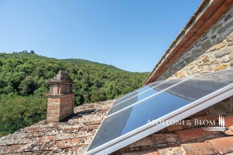 Farm hus i Piegaro, Perugia, Piegaro - € 1.450.000 | Ref: PIE3083-613014 - foto 6