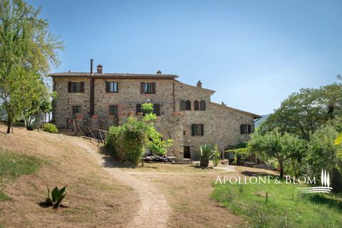 Farm hus i Piegaro, Perugia, Piegaro - € 1.450.000 | Ref: PIE3083-613014 - foto 9