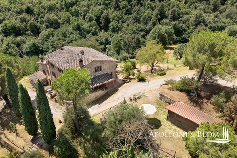 Farm hus i Piegaro, Perugia, Piegaro - € 1.450.000 | Ref: PIE3083-613014 - foto 20