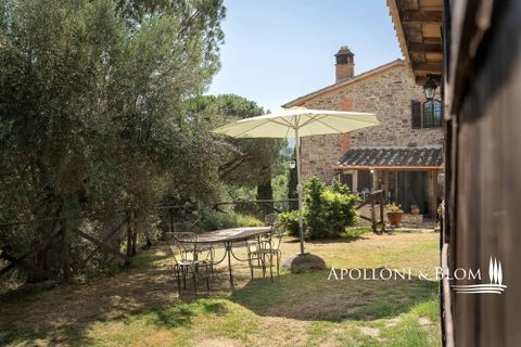 Farm hus i Piegaro, Perugia, Piegaro - € 1.450.000 | Ref: PIE3083-613014 - foto 22
