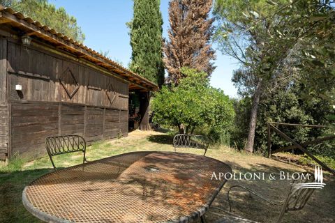 Farm hus i Piegaro, Perugia, Piegaro - € 1.450.000 | Ref: PIE3083-613014 - foto 23