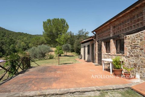 Farm hus i Piegaro, Perugia, Piegaro - € 1.450.000 | Ref: PIE3083-613014 - foto 25