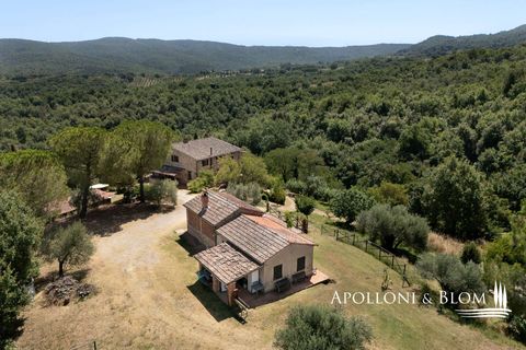 Farm hus i Piegaro, Perugia, Piegaro - € 1.450.000 | Ref: PIE3083-613014 - foto 28