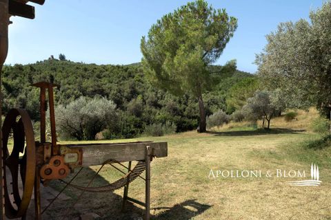 Farm hus i Piegaro, Perugia, Piegaro - € 1.450.000 | Ref: PIE3083-613014 - foto 29