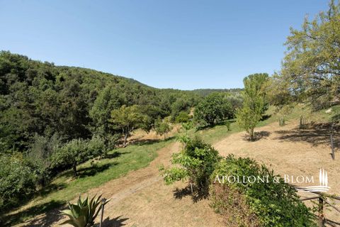 Farm hus i Piegaro, Perugia, Piegaro - € 1.450.000 | Ref: PIE3083-613014 - foto 30