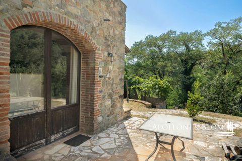 Farm hus i Piegaro, Perugia, Piegaro - € 1.450.000 | Ref: PIE3083-613014 - foto 36
