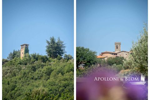 Farm hus i Piegaro, Perugia, Piegaro - € 1.450.000 | Ref: PIE3083-613014 - foto 43