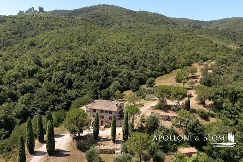 Farm hus i Piegaro, Perugia, Piegaro - € 1.450.000 | Ref: PIE3083-613014 - foto 44