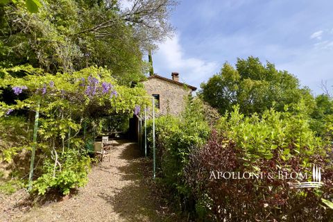 Byhus i Cetona, Siena, Cetona - € 295.000 | Ref: CET2978-613534 - foto 3