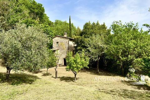 Byhus i Cetona, Siena, Cetona - € 295.000 | Ref: CET2978-613534 - foto 6