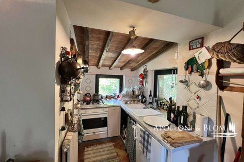 Byhus i Cetona, Siena, Cetona - € 295.000 | Ref: CET2978-613534 - foto 11