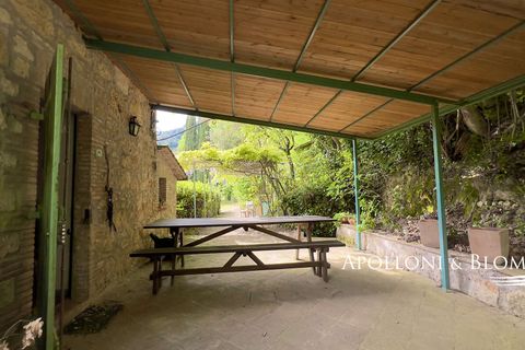 Byhus i Cetona, Siena, Cetona - € 295.000 | Ref: CET2978-613534 - foto 31