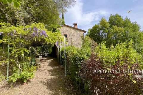 Byhus i Cetona, Siena, Cetona - € 295.000 | Ref: CET2978-613534 - foto 33