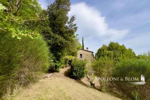 Byhus i Cetona, Siena, Cetona - € 295.000 | Ref: CET2978-613534 - foto 34