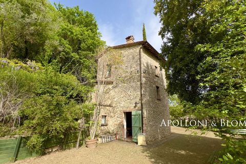 Byhus i Cetona, Siena, Cetona - € 295.000 | Ref: CET2978-613534 - foto 36