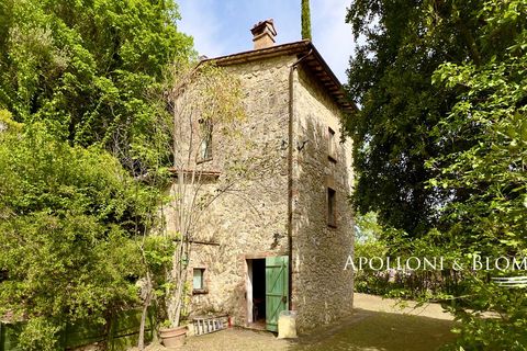 Byhus i Cetona, Siena, Cetona - € 295.000 | Ref: CET2978-613534 - foto 37