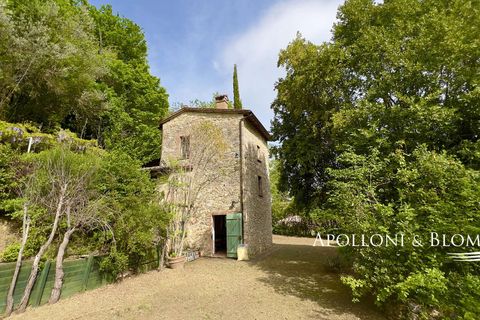 Byhus i Cetona, Siena, Cetona - € 295.000 | Ref: CET2978-613534 - foto 38
