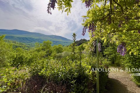 Byhus i Cetona, Siena, Cetona - € 295.000 | Ref: CET2978-613534 - foto 39