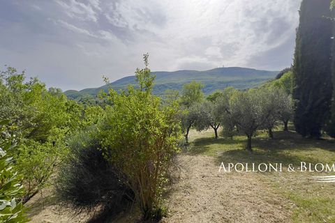 Byhus i Cetona, Siena, Cetona - € 295.000 | Ref: CET2978-613534 - foto 40