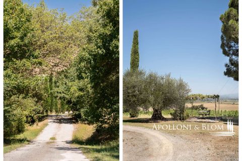 Farm hus i Cortona, Arezzo, Cortona - € 1.000.000 | Ref: COR3041-613909 - foto 8