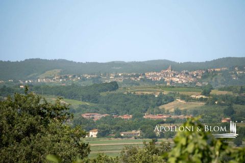 Farm hus i Cortona, Arezzo, Cortona - € 1.000.000 | Ref: COR3041-613909 - foto 37