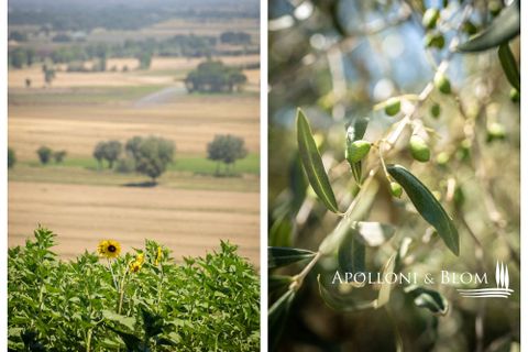 Farm hus i Cortona, Arezzo, Cortona - € 1.000.000 | Ref: COR3041-613909 - foto 39