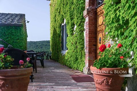 Villa a Murlo, Siena, Murlo - € 7.200.000 | Ref: SIE2442-614171 - foto 24
