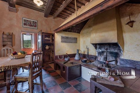 Villa a Murlo, Siena, Murlo - € 7.200.000 | Ref: SIE2442-614171 - foto 32