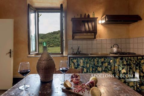 Villa a Murlo, Siena, Murlo - € 7.200.000 | Ref: SIE2442-614171 - foto 39
