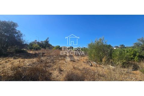 Helårsgrund i Estombar, Faro, Estombar - € 530.000 | Ref: SÒL_234 - foto 9