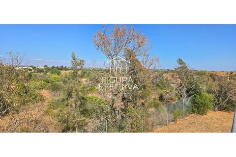 Helårsgrund i Estombar, Faro, Estombar - € 530.000 | Ref: SÒL_234 - foto 13