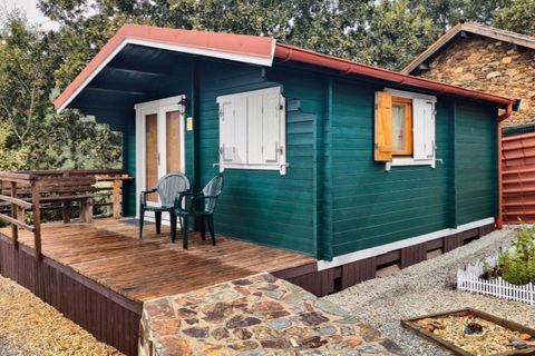 Erhvervsejendom i Espinho, Viseu, Espinho - € 650.000 | Ref: KWPT-022464 - foto 26