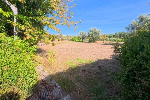 Villa a Antas e Matela, Viseu, Antas e Matela - € 160.000 | Ref: C0203-02520 - foto 5