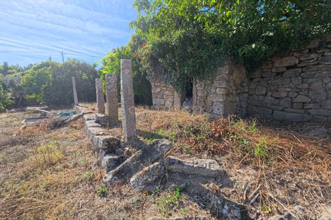 Villa a Antas e Matela, Viseu, Antas e Matela - € 160.000 | Ref: C0203-02520 - foto 32