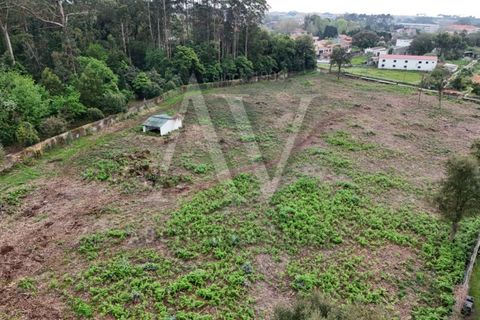Helårsgrund i Arcozelo, Porto, Arcozelo - € 1.800.000 | Ref: LRA_2232 - foto 3