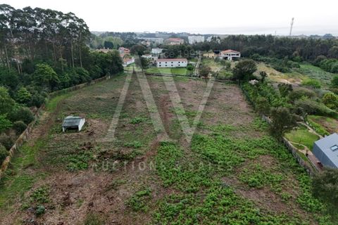 Helårsgrund i Arcozelo, Porto, Arcozelo - € 1.800.000 | Ref: LRA_2232 - foto 5