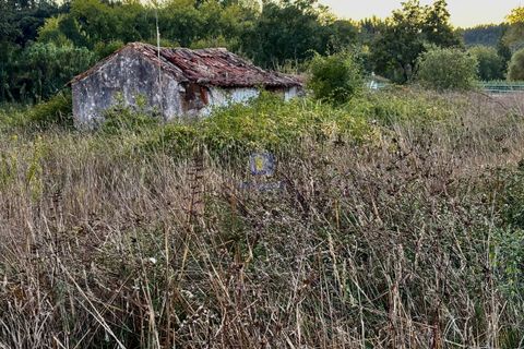 Villa i A Dos Negros, Leiria, A Dos Negros - € 36.000 | Ref: CAL-216958 - foto 2