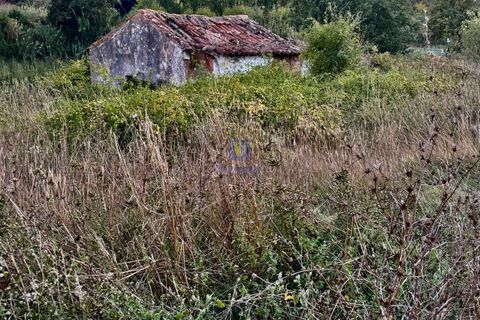Villa i A Dos Negros, Leiria, A Dos Negros - € 36.000 | Ref: CAL-216958 - foto 3