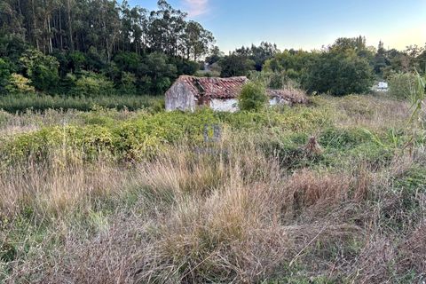 Villa i A Dos Negros, Leiria, A Dos Negros - € 36.000 | Ref: CAL-216958 - foto 4