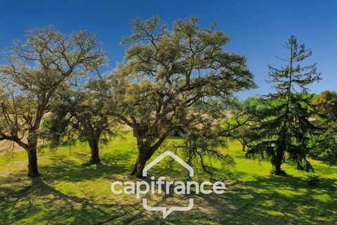 Villa a Gabarret, Landes, Gabarret - € 176.000 | Ref: 340936454854 - foto 26