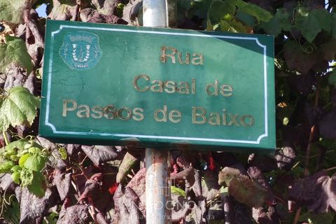 Helårsgrund i Serzedelo, Braga, Serzedelo - € 160.000 | Ref: SÒL_175 - foto 3