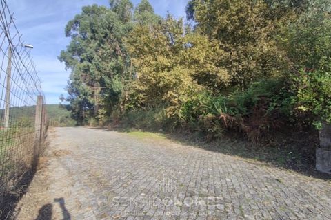 Helårsgrund i Serzedelo, Braga, Serzedelo - € 160.000 | Ref: SÒL_175 - foto 5