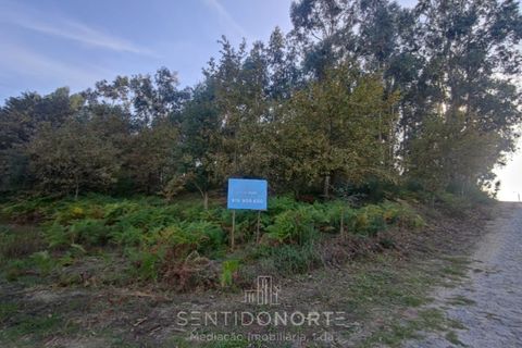 Helårsgrund i Serzedelo, Braga, Serzedelo - € 160.000 | Ref: SÒL_175 - foto 7