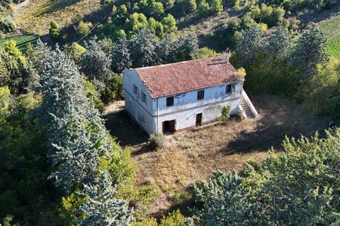 Landejendom i Ripatransone, Ascoli Piceno, Ripatransone - € 500.000 | Ref: 33676 - foto 1