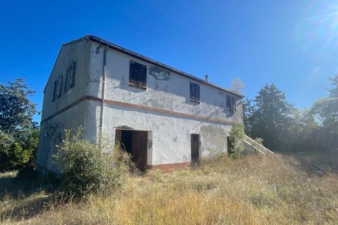 Landejendom i Ripatransone, Ascoli Piceno, Ripatransone - € 500.000 | Ref: 33676 - foto 2